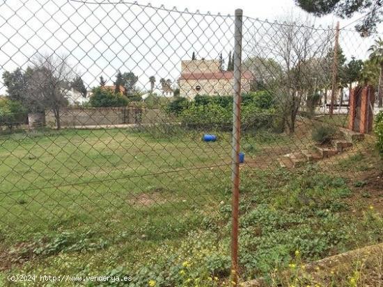  TERRENO EN LAS PAJANOSAS-GUILLENA,SEVILLA. - SEVILLA 