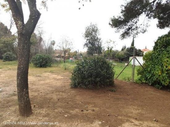 TERRENO EN LAS PAJANOSAS-GUILLENA,SEVILLA. - SEVILLA