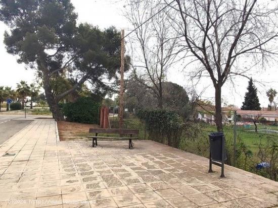 TERRENO EN LAS PAJANOSAS-GUILLENA,SEVILLA. - SEVILLA