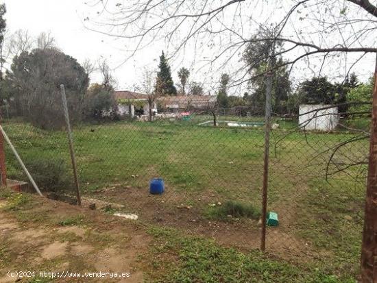 TERRENO EN LAS PAJANOSAS-GUILLENA,SEVILLA. - SEVILLA