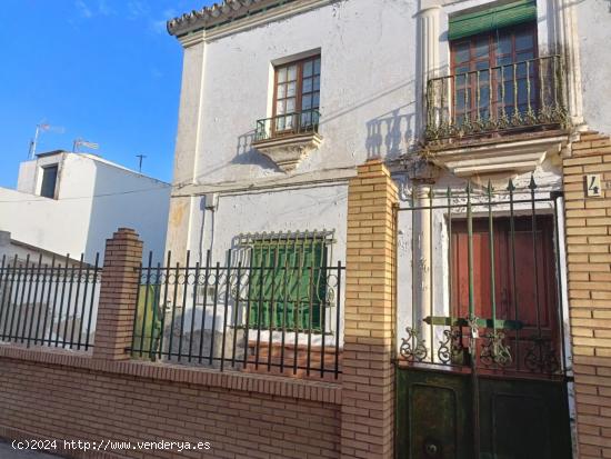 CHALET DE DOÑA PACA EN GUILLENA, SEVILLA. - SEVILLA