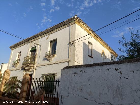 CHALET DE DOÑA PACA EN GUILLENA, SEVILLA. - SEVILLA