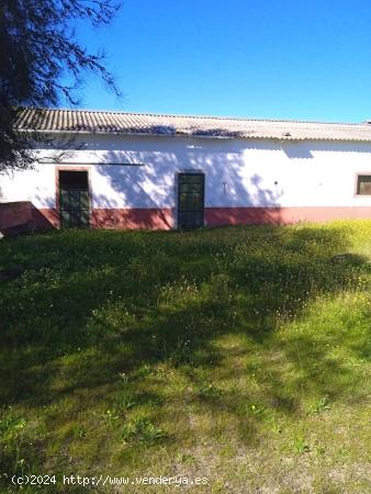  OPORTUNIDAD DE FINCA EN CARRETERA CASTIBLANCO DE LOS ARROYOS, SEVILLA. - SEVILLA 