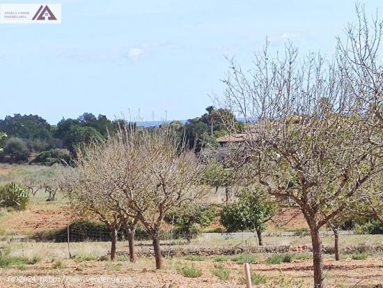 Terreno con permiso de construcción - BALEARES