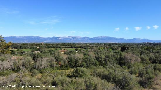 Terreno con proyecto y licencia - BALEARES