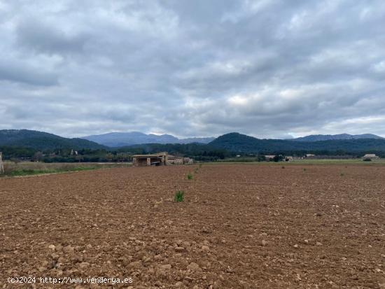 Se Vende en Sa Pobla - BALEARES