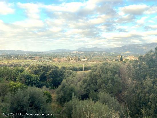 Solar urbano con vistas a la Serra de Tramuntana - BALEARES