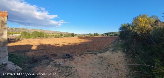  Finca rústica con posibilidad de construir. - VALENCIA 