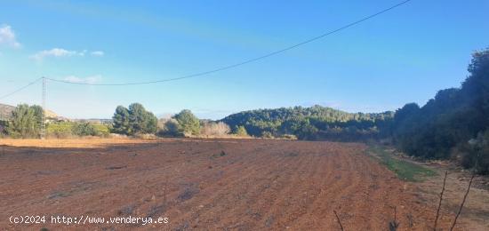 Finca rústica con posibilidad de construir. - VALENCIA