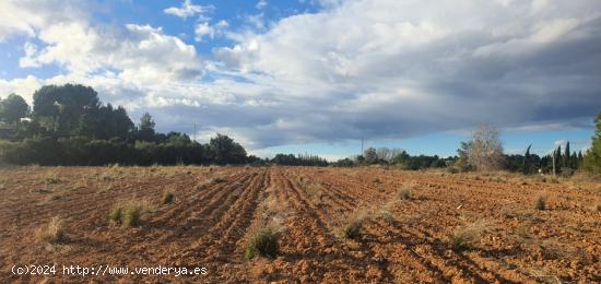 Finca rústica con posibilidad de construir. - VALENCIA