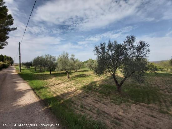 VENDE TERRENO EN VILLENA - ALICANTE