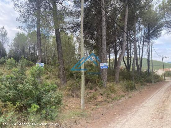 Se Vende en El Montmell - TARRAGONA