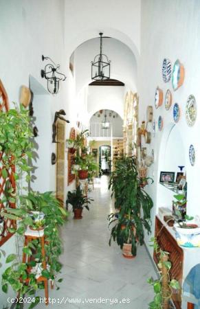 Finca urbana con grandes jardines en el Centro - CADIZ