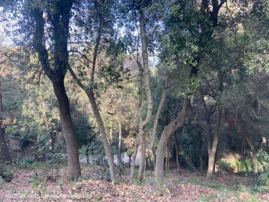 Terreno con vistas a Montserrat - BARCELONA