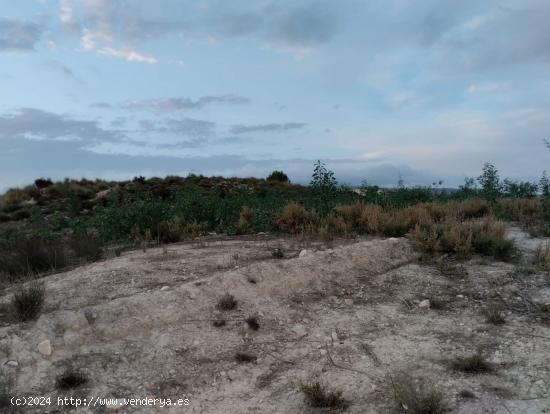  Terreno Rural -  Campos del Río - MURCIA 