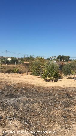 SE VENDE PARCELA EN SANGONERA LA SECA DE 770 M2 NO URBANIZABLE - MURCIA