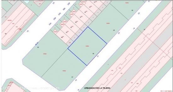 Solar Urbanizable - Tejera, Ceutí - MURCIA