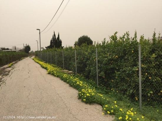 Parcela - Llano de Brujas, Murcia - MURCIA