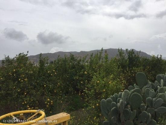 Terreno Rural - Alquerías - MURCIA