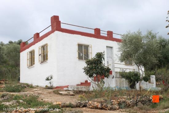  FINCA RUSTICA ZONA AMETLLER (AMPOSTA) - TARRAGONA 