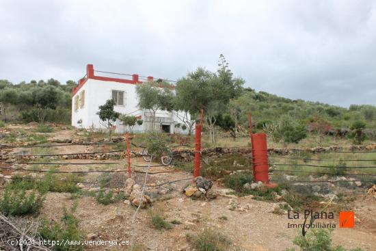 FINCA RUSTICA ZONA AMETLLER (AMPOSTA) - TARRAGONA