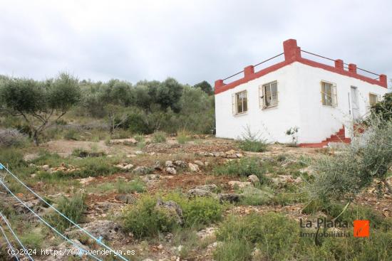 FINCA RUSTICA ZONA AMETLLER (AMPOSTA) - TARRAGONA