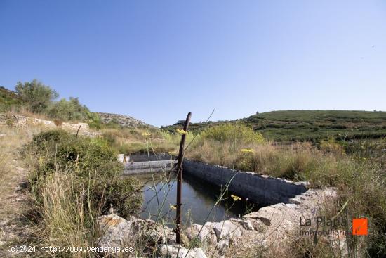 FINCA RUSTICA CON CASETA EN VENTA EN MAS DE BARBERANS (TARRAGONA) - TARRAGONA