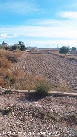 TERRENO 20 270 M2 / SE PUEDE CONSTRUIR - ALICANTE