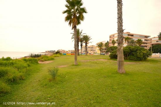 Fabulosa Villa de Lujo en La Veleta de Torrevieja a 80 metros del Mar - ALICANTE