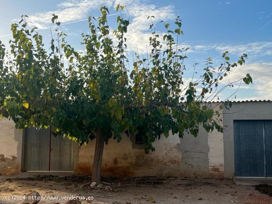 Finca rustica zona Amposta - TARRAGONA