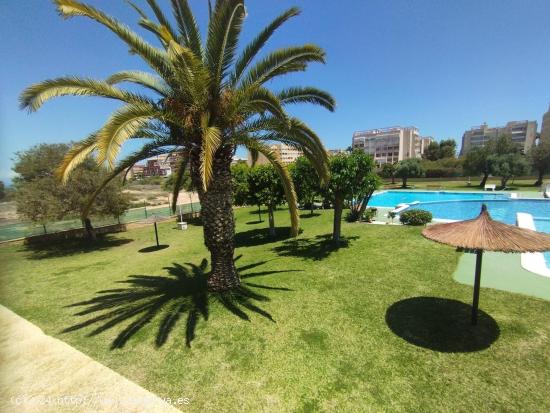 Precioso bungalow en Torrevieja (Pueblo Marino Torreblanca ) Alicante - ALICANTE