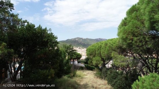 Suelo urbano en venta  en Sant Feliu de Guixols - Girona