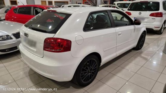 AUDI A3 en venta en Lugo (Lugo) - Lugo