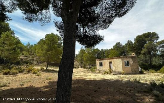 Casita Agrícola con parcela de mas de 15.000 m2 en Biar!!! - ALICANTE