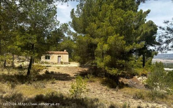 Casita Agrícola con parcela de mas de 15.000 m2 en Biar!!! - ALICANTE