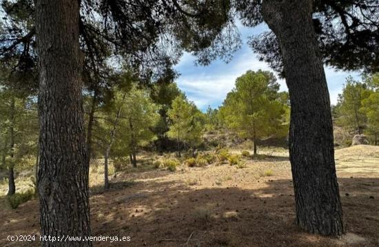 Casita Agrícola con parcela de mas de 15.000 m2 en Biar!!! - ALICANTE