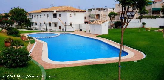 REBAJADOO!! BUNGALOW BAJO EN ESQUINA 1 HAB EN LAGO JADIN PISCINA 69.900€ - ALICANTE