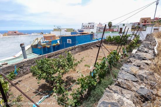  SOLAR EN EL EMPALME DE ICOD DE LOS VINOS - SANTA CRUZ DE TENERIFE 