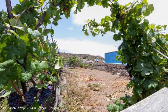 SOLAR EN EL EMPALME DE ICOD DE LOS VINOS - SANTA CRUZ DE TENERIFE