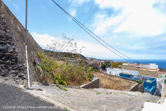 SOLAR EN EL EMPALME DE ICOD DE LOS VINOS - SANTA CRUZ DE TENERIFE