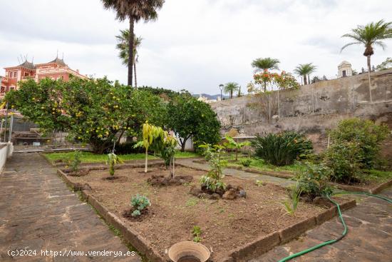 CASONA EN LA OROTAVA - SANTA CRUZ DE TENERIFE