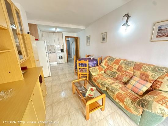 Bonito apartamento en la Avenida Habaneras - ALICANTE