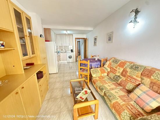 Bonito apartamento en la Avenida Habaneras - ALICANTE