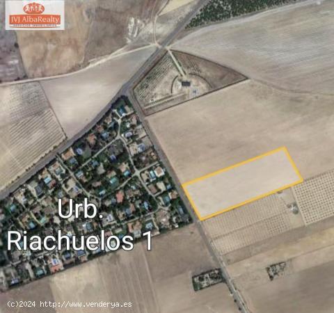 PARCELA  RUSTICA EN VENTA EN URB. RIACHUELOS I - ALBACETE