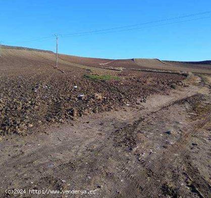 Urbis te ofrece un conjunto de cinco parcelas en zona Garrido Norte, Salamanca. - SALAMANCA