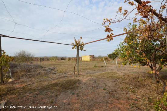 PLANTA BAJA EN VENTA CON PARCELA, LA MAGDALENA - MURCIA