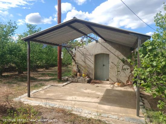  Finca Agricola en Aleixar - TARRAGONA 