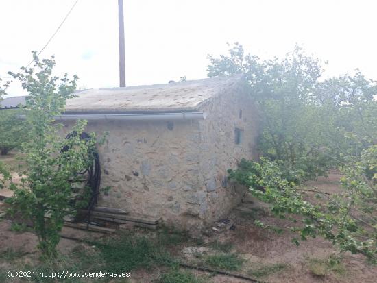 Finca Agricola en Aleixar - TARRAGONA