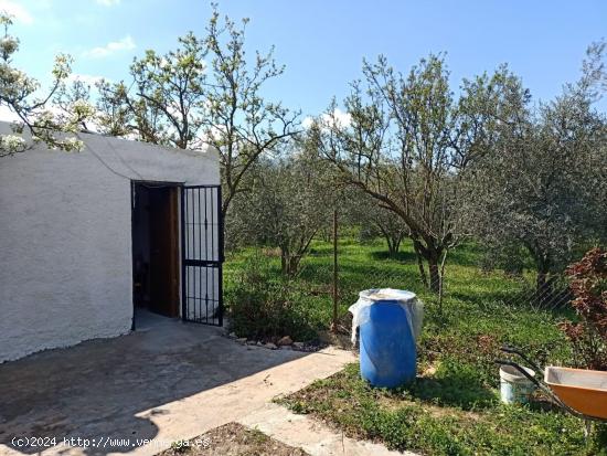  Terreno rural en Fondon de 2500 metros con cortijo - ALMERIA 