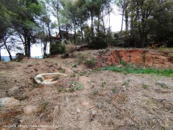 TERRENO PARA CONSTRUIR VIVIENDA - BARCELONA